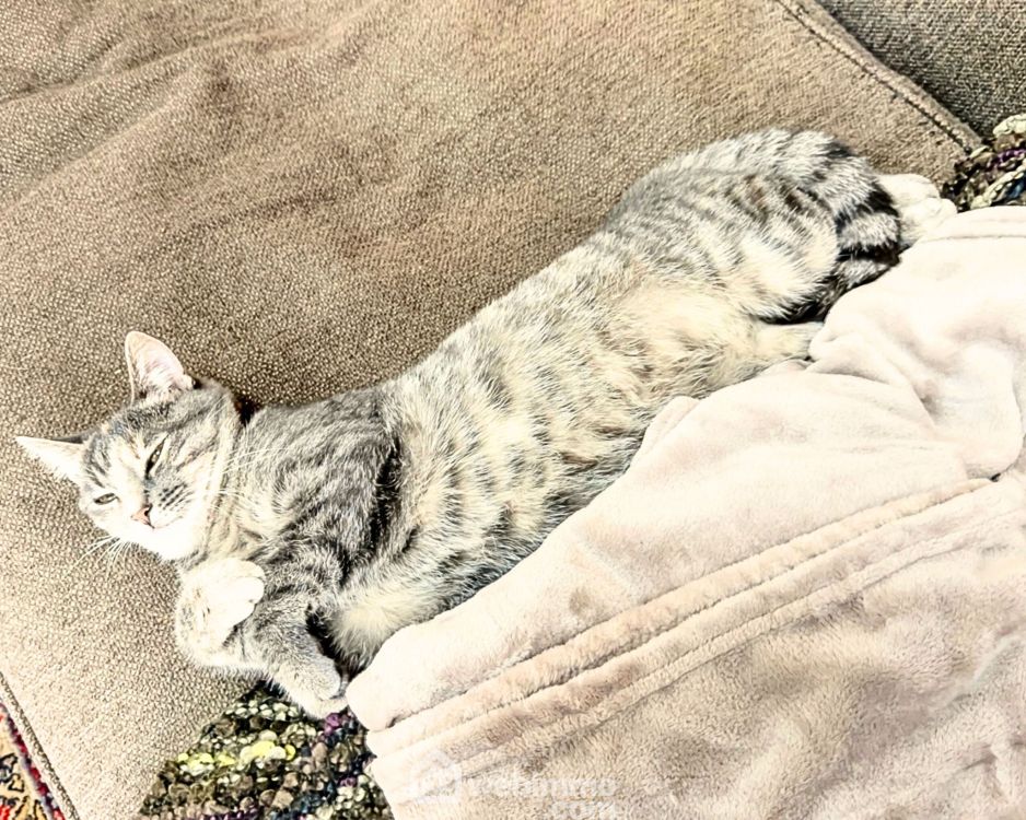 Photo 7 - Rennes 35000 à Rennes