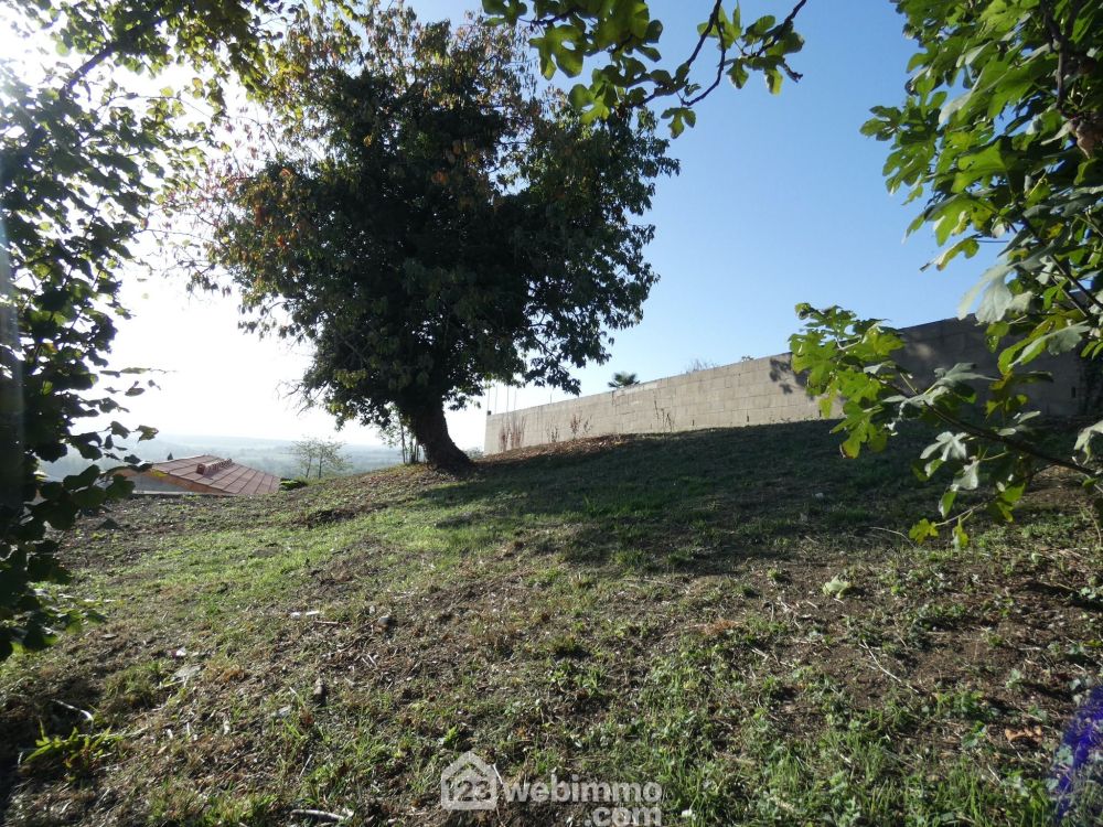 Photo 42 - Beaumont Saint-Cyr 86490 à Beaumont Saint-Cyr