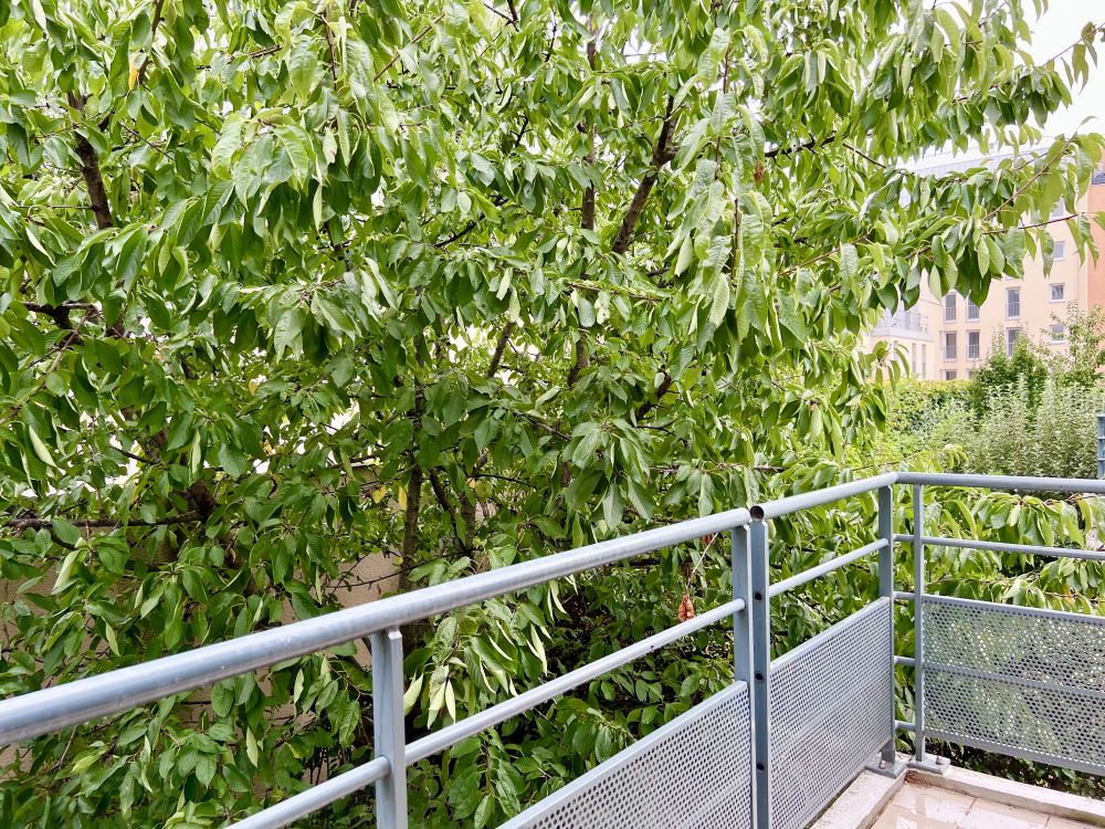 Photo 13 - Châtillon 92320 à Châtillon