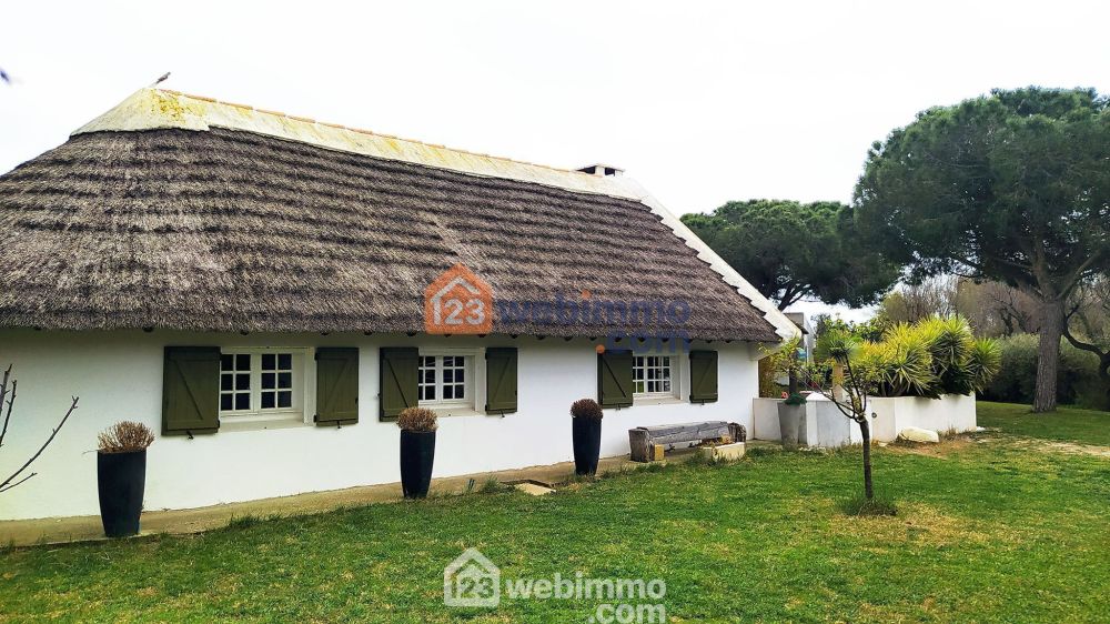 Photo 4 - Saintes-Maries-de-la-Mer 13460 à Saintes-Maries-de-la-Mer