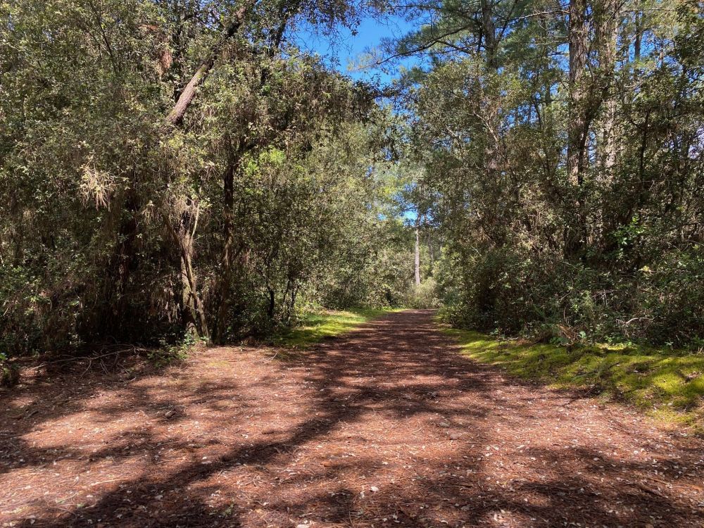 Photo 4 - Jard-sur-Mer 85520 à Jard-sur-Mer