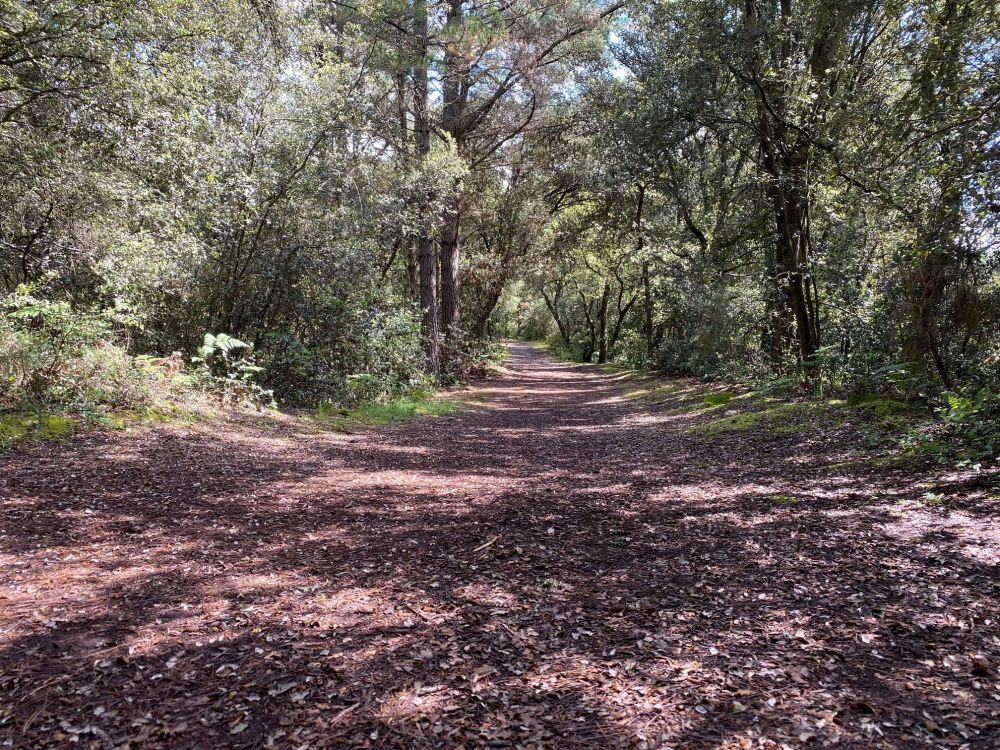 Photo 5 - Jard-sur-Mer 85520 à Jard-sur-Mer