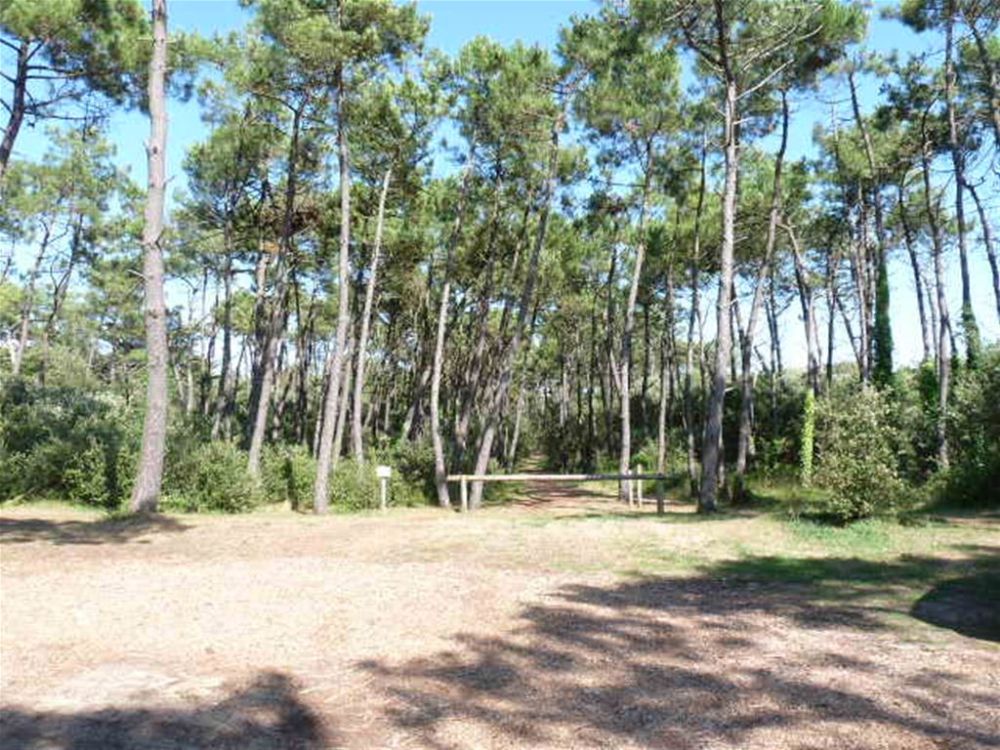 Photo 9 - Saint-Vincent-sur-Jard 85520 à Saint-Vincent-sur-Jard