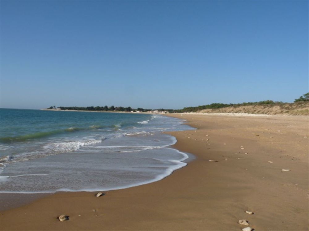 Photo 10 - Saint-Vincent-sur-Jard 85520 à Saint-Vincent-sur-Jard