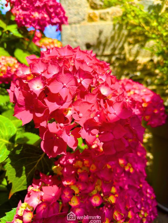 Photo 26 - La Baussaine 35190 à La Baussaine