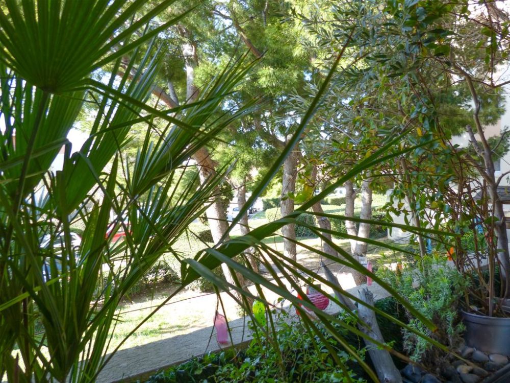 Photo 7 - Marseille 8 13008 à Marseille 8