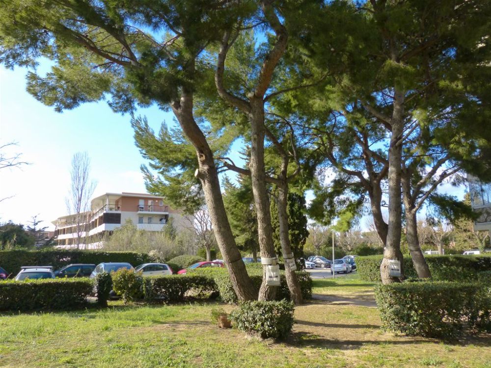 Photo 17 - Marseille 8 13008 à Marseille 8