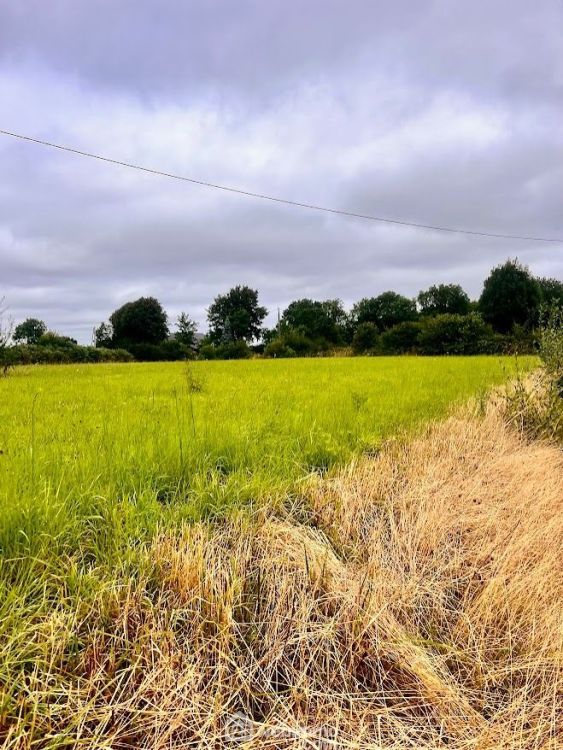 Photo 2 - Savigny 50210 à Savigny