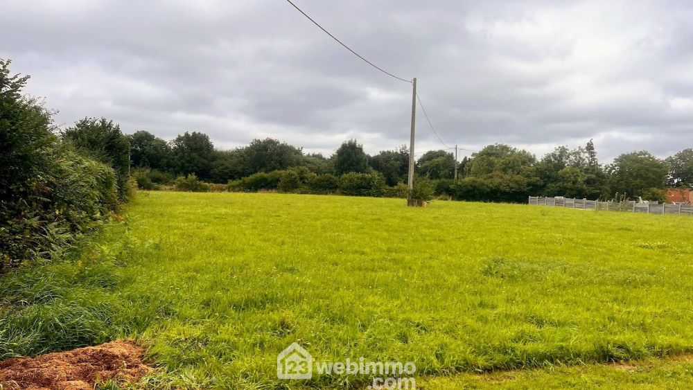 Photo 5 - Savigny 50210 à Savigny