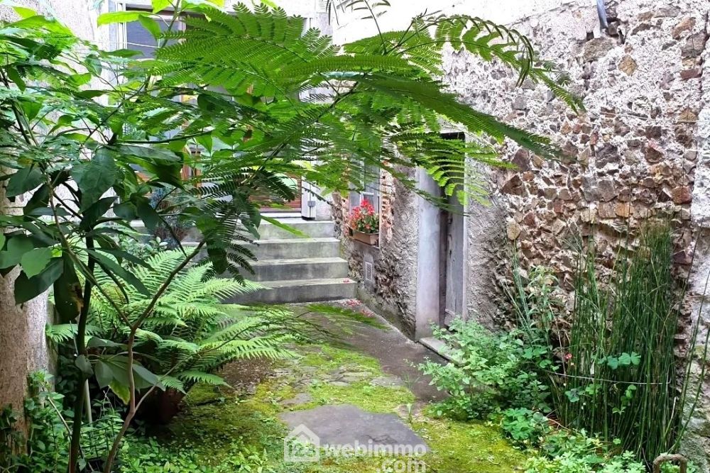 Photo 13 - Chalonnes-sur-Loire 49290 à Chalonnes-sur-Loire