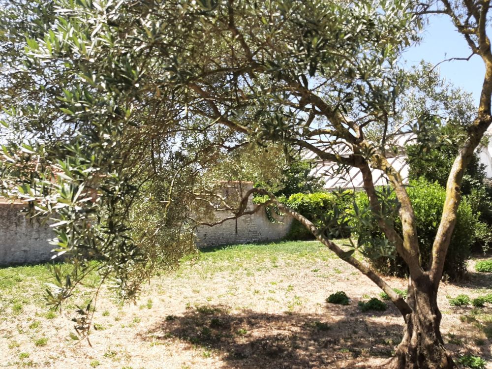 Photo 4 - La Rochelle 17000 à La Rochelle