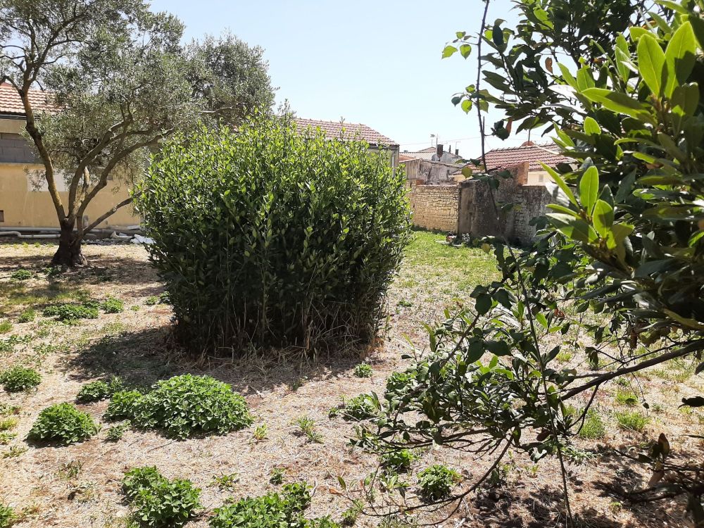 Photo 3 - La Rochelle 17000 à La Rochelle