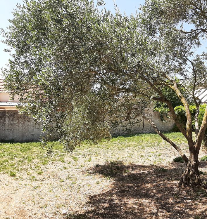 Photo 5 - La Rochelle 17000 à La Rochelle