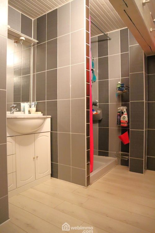 Photo 15 - Moulismes 86500 à Moulismes