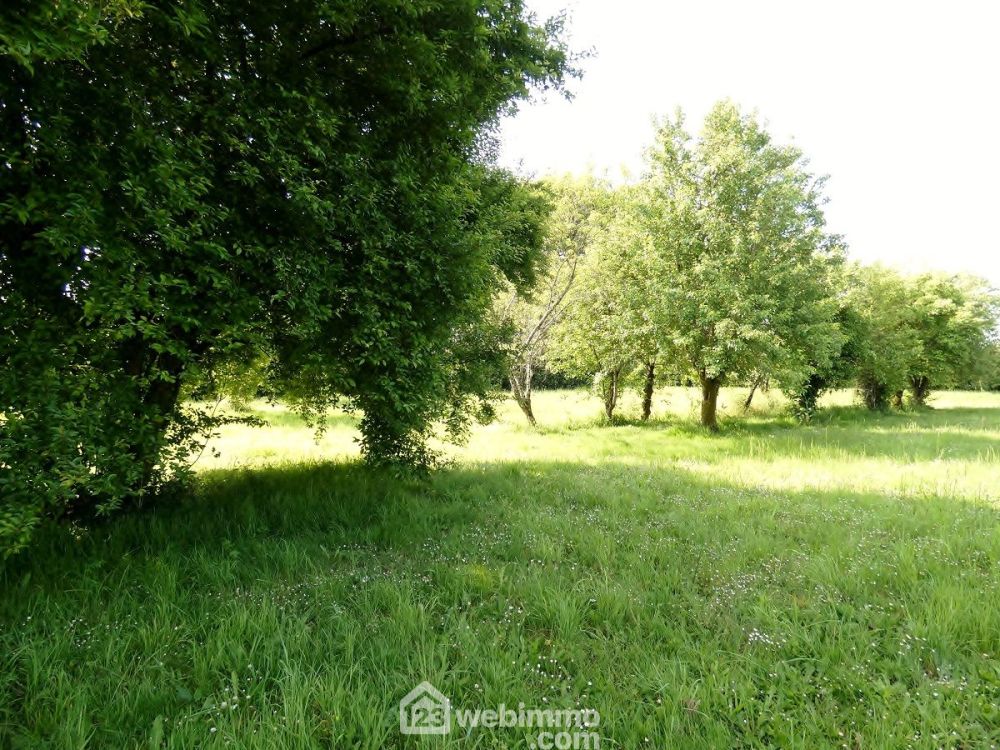 Photo 3 - Blanzay 86400 à Blanzay