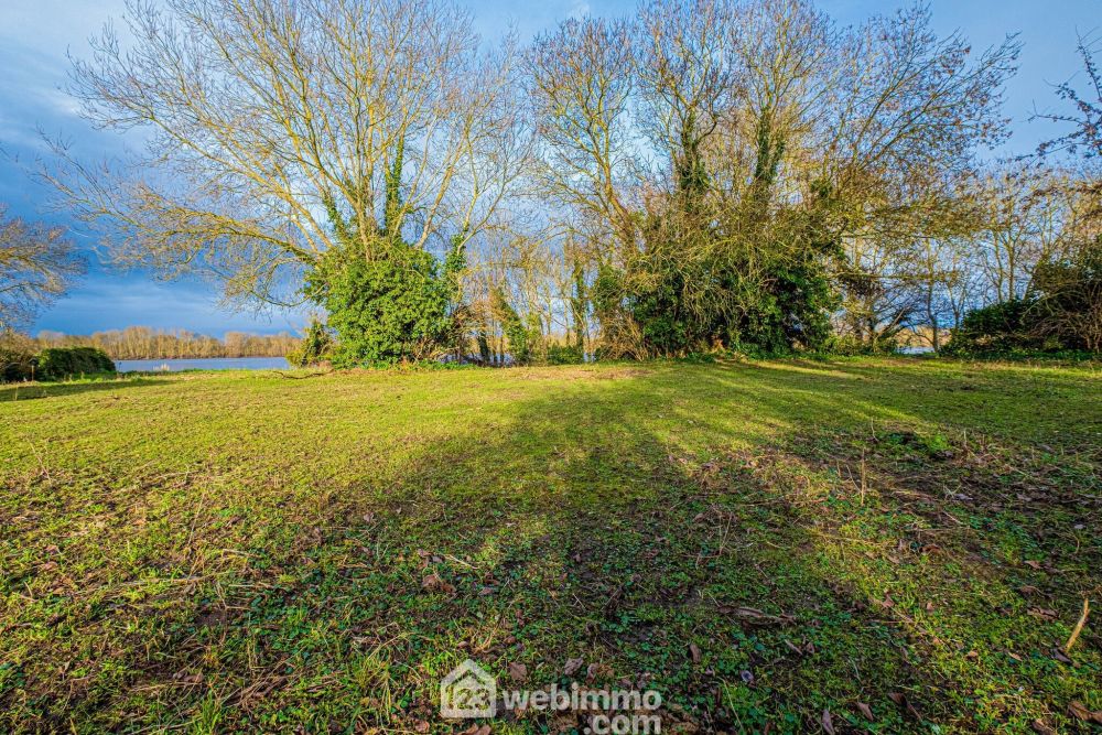 Photo 21 - Saint-Georges-sur-Loire 49170 à Saint-Georges-sur-Loire