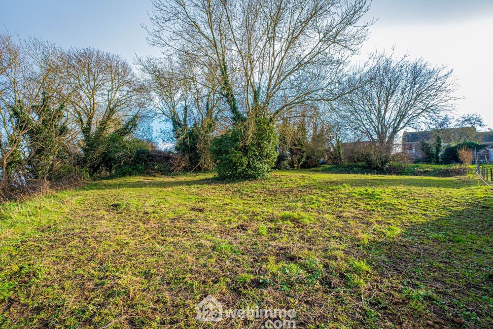 Photo 22 - Saint-Georges-sur-Loire 49170 à Saint-Georges-sur-Loire