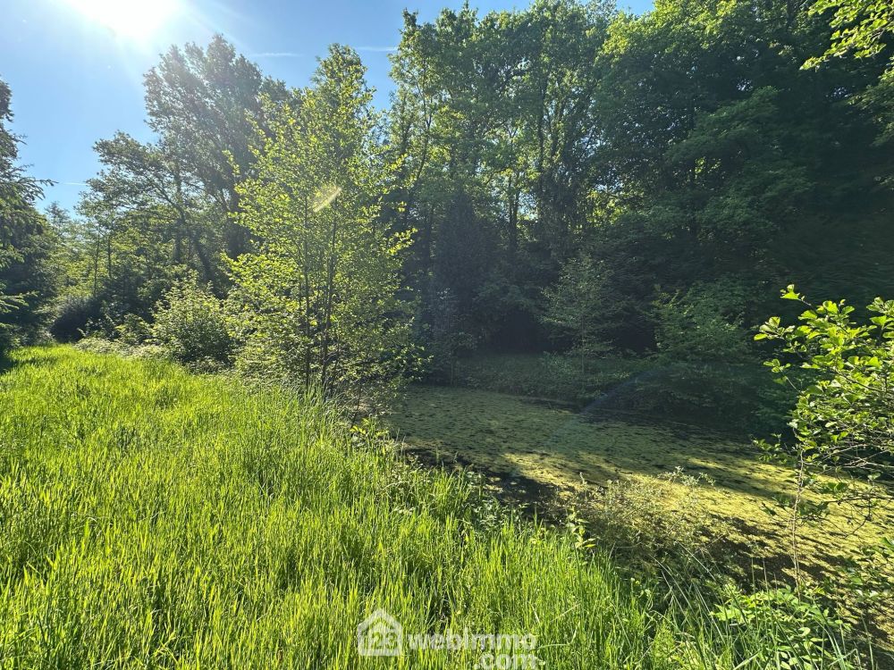 Photo 8 - Parfondru 02840 à Parfondru