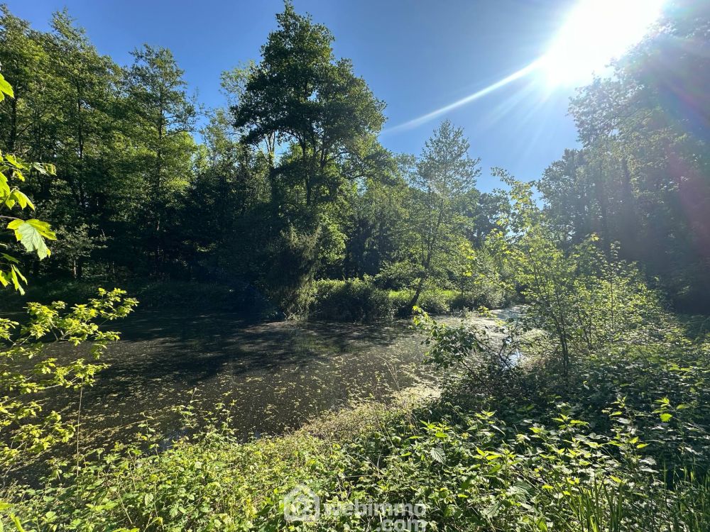 Photo 9 - Parfondru 02840 à Parfondru