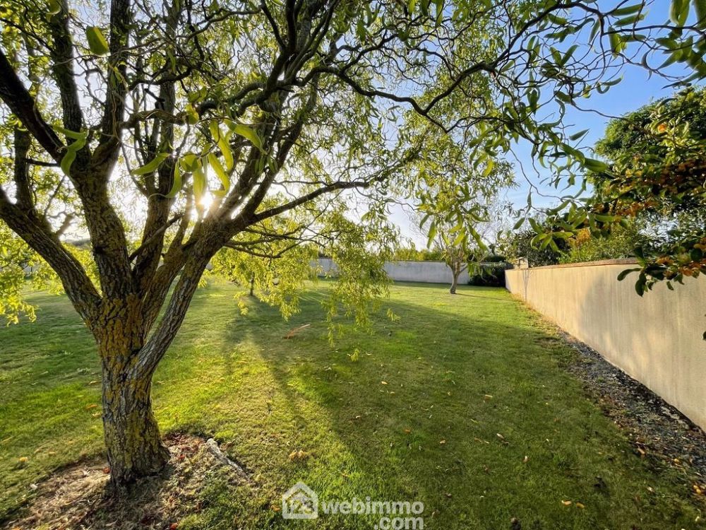 Photo 2 - Chalonnes-sur-Loire 49290 à Chalonnes-sur-Loire