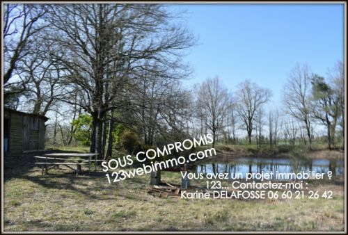 Terrain de loisirs 11470 m² Sainte-Flaive-des-Loups 85150