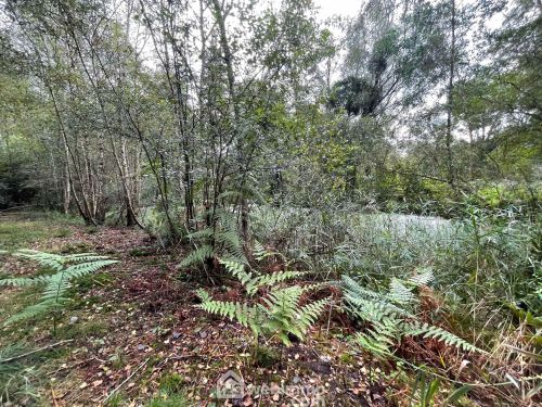 Etang 6319 m² Chaillevois 02000