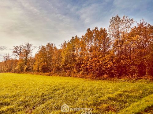 Terrain non constructible 12718 m² Celle-Lévescault 86600