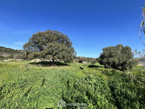 Terrain à bâtir 2218 m² Santa-Reparata-di-Balagna 20220