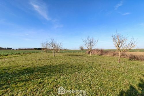 Maison 161 m² Saint-Martin-la-Pallu 86170