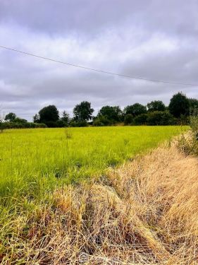 Terrain à bâtir 821 m² Savigny 50210